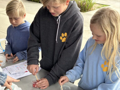kids learning stem related activities