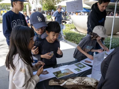 Children and adults gather around an outdoor table exhibit featuring bird information and a preserved bird specimen.