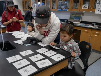 Adults and children in a classroom examine cards with animal illustrations spread on a table.